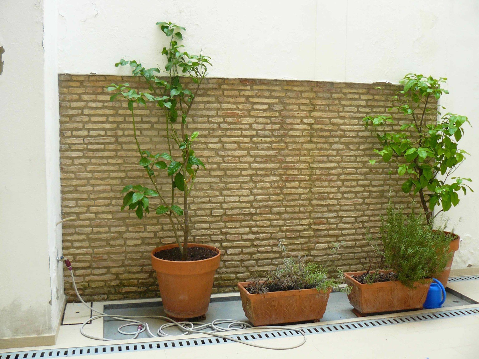 Alfaqueque Apartment Sevilla Exteriér fotografie